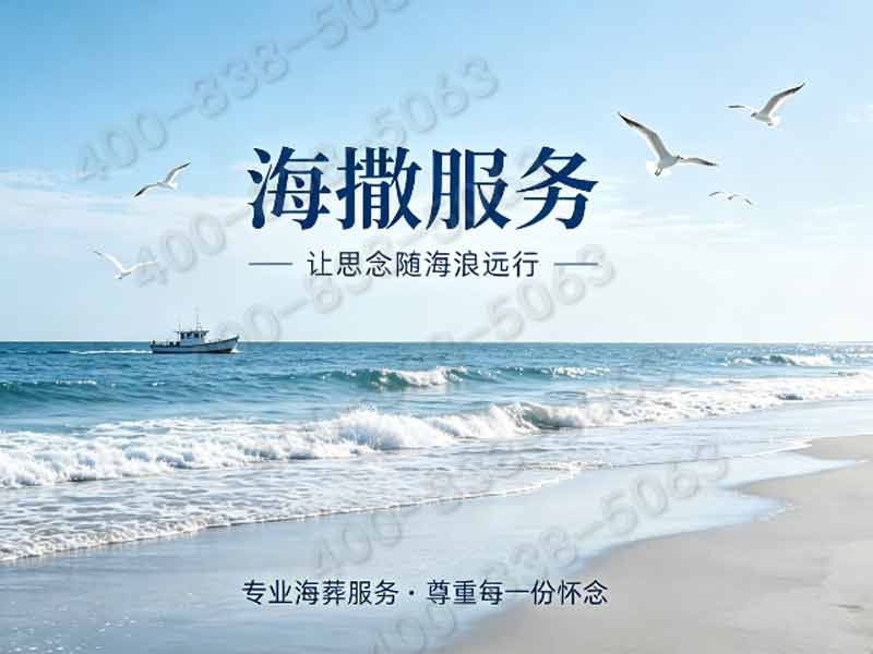 树葬骨灰海撒一站式办理家属能做什么全攻略