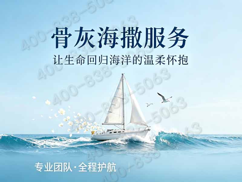 海撒一站式办理可以多人一起撒吗？海撒服务全解析与办理流程